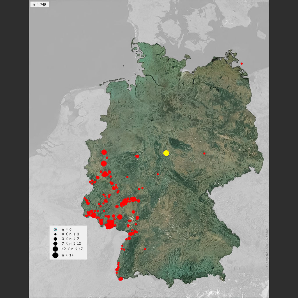 Beobachtungen vom Orpheusspöttern im Jahr 2024.