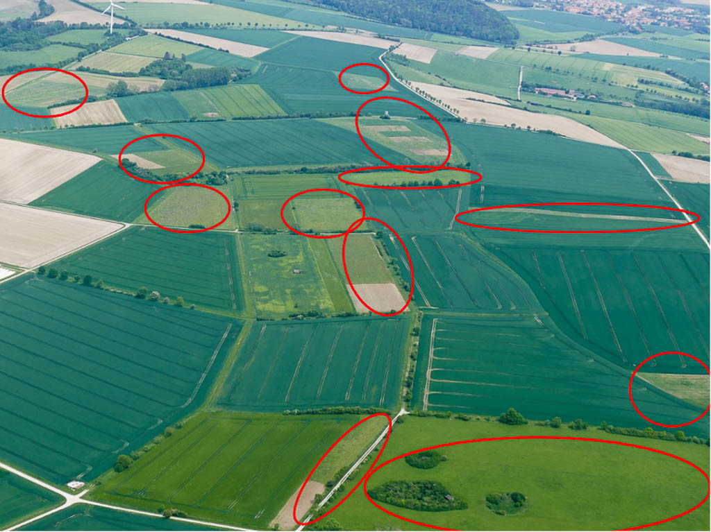 Luftbild mit Rebhuhnrevieren im Süden von Göttingen